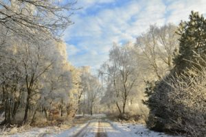 December IJzel in de Driehoek