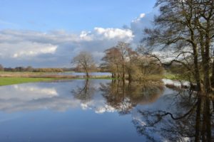 Hoogwater langs de Vecht