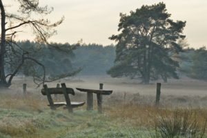 Mist over de Dreihoek