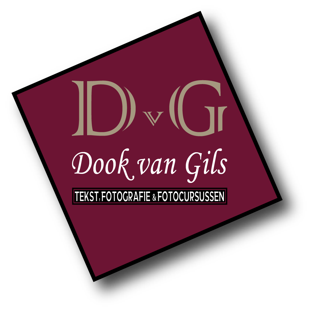 Dook van Gils MFI